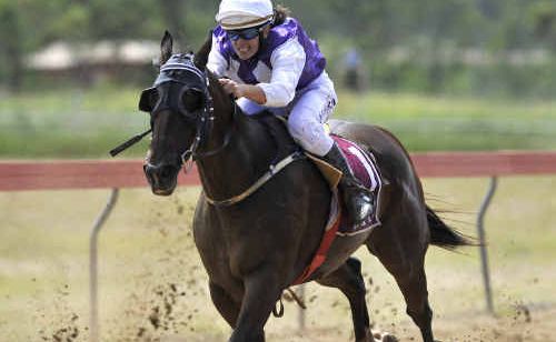 The Gladstone Cup is run today at Ferguson Park and organisers expect a bumper crowd and first-class racing. The Gladstone Cup is run today at Ferguson Park and organisers expect a bumper crowd and first-class racing.